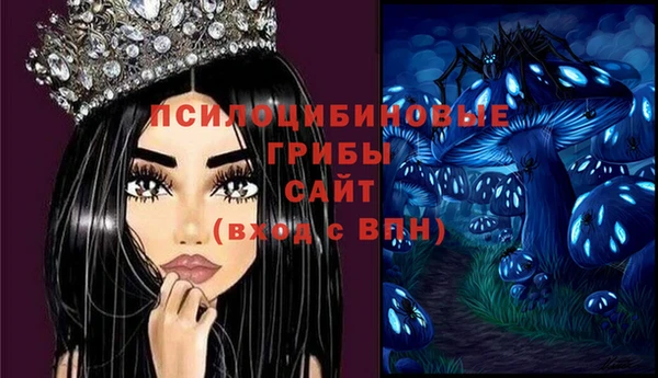 гашик Абинск