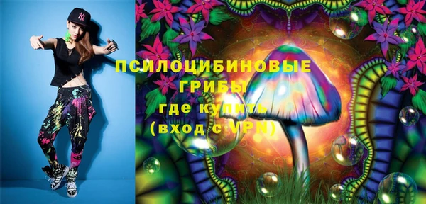 гашик Абинск