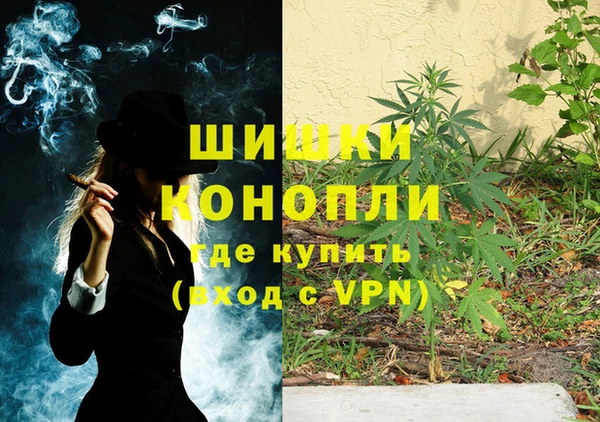 трава Абаза