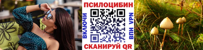 наркота  Энгельс  blacksprut зеркало  Галлюциногенные грибы Cubensis 